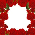 Red Rose Flower Frame Border. isolated on White Background. Vector Illustration Royalty Free Stock Photo