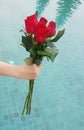 Red rose flower in hand for valentines day, wedding card on black backgroundRed rose flower in hand for valentines day, wedding ca