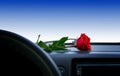 A red rose flower lies on the dashboard in the car