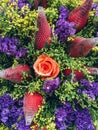 Red rose flower macro detail Royalty Free Stock Photo