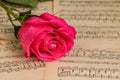 Red rose flower and music notes sheet