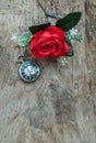 Red rose flower and A retro pocket watch on old wooden board background Royalty Free Stock Photo