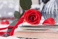 Red rose flower with a stack of postcard, retro photos and vintage book