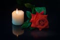 Red rose flower with water drops and white burning candle Royalty Free Stock Photo