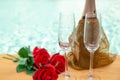 Red rose flowers and bottel champagne and glasses by swimming pool. Royalty Free Stock Photo