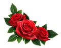 Red rose flowers corner arrangement Royalty Free Stock Photo