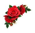 Red rose flowers in corner arrangement Royalty Free Stock Photo