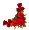 Red rose flowers corner arrangement Royalty Free Stock Photo