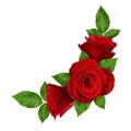 Red rose flowers in corner arrangement