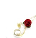 Red rose flowers with gold ribbon. Royalty Free Stock Photo
