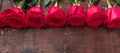 Red rose flowers on wooden background Valentine\'s day greeting card. Horizontal banner Royalty Free Stock Photo