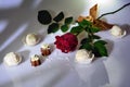 A red rose with four raffaello and two chocolade sweets on a white background Royalty Free Stock Photo