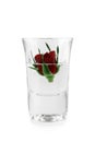 Red rose in glass Royalty Free Stock Photo