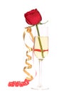 Red rose in glass of champagne. Royalty Free Stock Photo