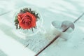 Red rose in a glass of water for love valentine`s day