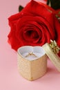 Red rose with a gold ring with a diamond Royalty Free Stock Photo