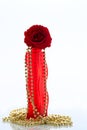 Red rose and golden pearls Royalty Free Stock Photo