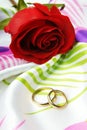 Red rose and golden rings Royalty Free Stock Photo