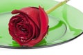 Red Rose on Green Glass Plate Royalty Free Stock Photo