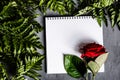 Red rose and green leaves lying on gray concrete backgroung. Flat lay. Top view Royalty Free Stock Photo