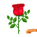 Red rose with green leaves vector icon. Blooming flower close-up cartoon illustration isolated on a white Royalty Free Stock Photo