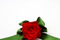 Red rose with green petals made by hand from satin ribbon Royalty Free Stock Photo