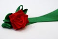 Red rose with green petals made from a satin ribbon Royalty Free Stock Photo