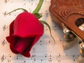 Red rose and Guitar Royalty Free Stock Photo