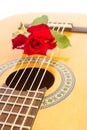 Red rose on guitar. Royalty Free Stock Photo