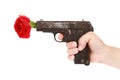 Red rose on a gun isolated on a white background Royalty Free Stock Photo