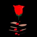 Red Rose In Hand Onblack Background. Valentine\'s Day. Love Flower. Rose Buds. Vector Illustration