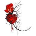 Red rose with heart and blood drops. Royalty Free Stock Photo