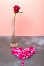 Red rose and Heart of fresh rose petals. Love concept Royalty Free Stock Photo