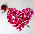 Red rose and Heart of fresh rose petals. Love concept Royalty Free Stock Photo