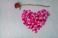 Red rose and Heart of fresh rose petals. Love concept Royalty Free Stock Photo