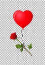 Red rose and heart shaped balloon on transparent background Royalty Free Stock Photo