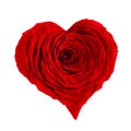Red rose heart shaped isolated on the whitebackground Royalty Free Stock Photo