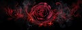 Red Rose Heart In Smoke On A Black Background. Selective Focus.