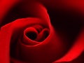 Red rose with heart symbol in center Royalty Free Stock Photo