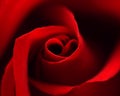 Red rose with heart symbol in center Royalty Free Stock Photo