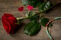 Red rose, hearts and bracelet bijouterie Royalty Free Stock Photo