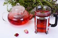Red Rose Hibiscus Tea with Thyme Royalty Free Stock Photo