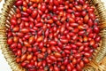 Red rose hips in basket . Fresh harvested rose hips in the basket. A basket of red rose hips . Freshly picked rose hips in a