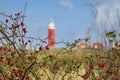 Lighthouse Texel Netherlands Royalty Free Stock Photo