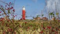 Lighthouse Texel Netherlands Royalty Free Stock Photo