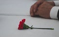 Red rose flower on the table