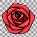 Red Rose Illustration Royalty Free Stock Photo