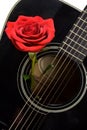 Red rose inside old black acoustic guitar Royalty Free Stock Photo