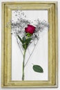Red rose inside photo frame, photo frame in wood colors. for the day of valentines