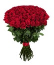 Red rose. Isolated large bouquet of 101 red rose on white Royalty Free Stock Photo